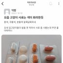 고양이 타이레놀 먹이는 게시물이 호응 받는 명불허전 부산대 에타 이미지