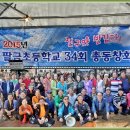 팔금초등학교 이미지