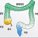 더메디칼 이미지