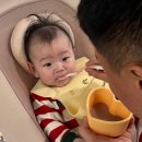 싸이벡스 레모 뉴본부터 4in1 내돈내산 하이체어 후기