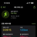 모모카네펜션