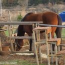 샘터휴양펜션 이미지