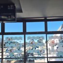 수댕이네 | 오사카 근교 여행 추천 | 일본 도바 수족관 가는 법, 나갔다 들어오는 법, 해달, 듀공 관람 후기