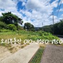 소이공인중개사사무소 이미지