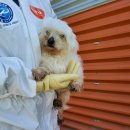 동아주유소 이미지