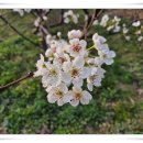 별미뚝배기