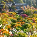 “여기가 한국 맞아?”... 브런치·산책·꽃구경까지 12만㎡ 유럽풍 정원 속 국화꽃 대향연 이미지