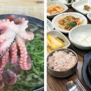 낙지청춘 이미지