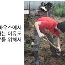 한남CSI 이미지