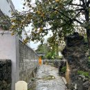 서호동-21 이미지