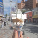 퍼플퍼피 | 오키나와 국제거리 아이스크림 블루씰 퍼피스노우