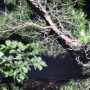 다드림안경원 이미지