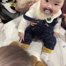 [일상] 중기 큐브 이유식 만들고 먹이기