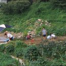 김유자농장 이미지