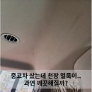 틈새커피 | 화성 남양 중고차 실내집중세차｜카니발 실내집중세차와 천장 커피 얼룩 제거 후기
