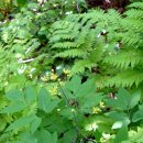 함지박골 이미지