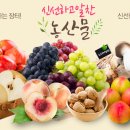 노다지인터넷 이미지