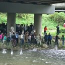 하천(박석교) 이미지