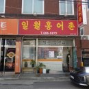 일월홍어촌 이미지