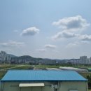 농업기술원 맞은편 이미지