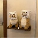 플레이스 네모