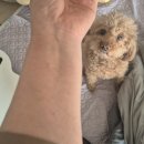 아주바른내과의원 | 선크림 바른 뒤 팔과 목이 가렵고 따갑다면? 접촉성 피부염 경험담