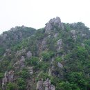 용봉초교 이미지