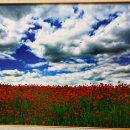 성남시청 이미지