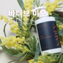 영바디 | 바디로션 추천 바디브, 퍼퓸 향까지 만족했던 올리브영바디로션 후기