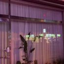 쥬르네일 이미지