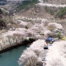 벽계야영장 매점 이미지