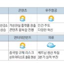 [株머니 주요산업 증시기상도] 美中 PVC 생산 차질…국내 화학주 반사이익 기대 이미지