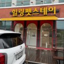 청주스테이(STAY)호텔 | 청주 강아지호텔 추천 힐링펫스테이 말티즈 목욕과 미용 만족후기