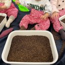 홈플러스부산정관점 | 정관 홈플 문센 풀잎아이 10-18개월 박남선선생님 후기