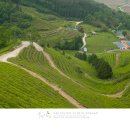 봉산리 소공원 이미지