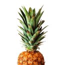 신월동004 이미지