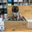 브라운동물병원 이미지