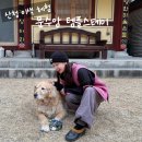 꽃비원스테이 | 산청 사찰:: 템플스테이 추천 이색 체험 1박2일 맛절 재방문 후기 [문수암]