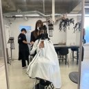 베토벤치과의원 | [리뷰] 안양 범계 헤어샵 '로프'에서 가을맞이 레이어드C컬 대성공 후기