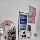 스프링데이 이미지