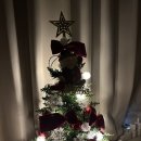 네이처캠(주) 이미지