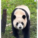 인성! !♡ 이미지