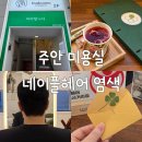 초코헤어 - 달서구 | 주안 미용실 네이플헤어 남자 초코브라운 새치커버 염색 후기