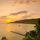 아일랜드 이미지