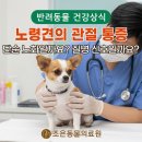 조은동물의료원 이미지