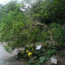 라파힐링 이미지