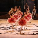 국립발레단 해설이 있는 전막발레 <돈키호테> 이미지