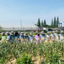 경희유치원 앞 이미지