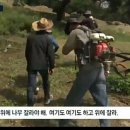 성일조경 이미지