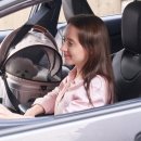 댕댕이 펫카 이미지